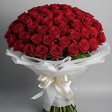 Букет 101 Красная роза Блэк Мэджик во Всеволожске