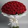 Букет 101 Красная роза Блэк Мэджик во Всеволожске