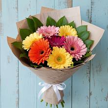 Букет цветов из:  Герберы #REPLACE_PRED# Всеволожске