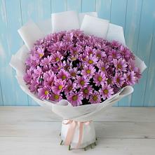 Букет цветов из:  Хризантемы во Всеволожске