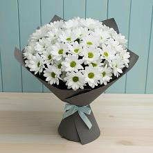 Букет цветов из:  Хризантемы #REPLACE_PRED# Всеволожске