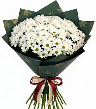 Букет цветов из:  Хризантемы во Всеволожске