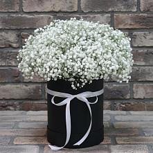 Цветочная композиция из Гипсофила в шляпной коробке #REPLACE_PRED# Всеволожске