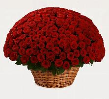 Премиум букет из: Розы во Всеволожске